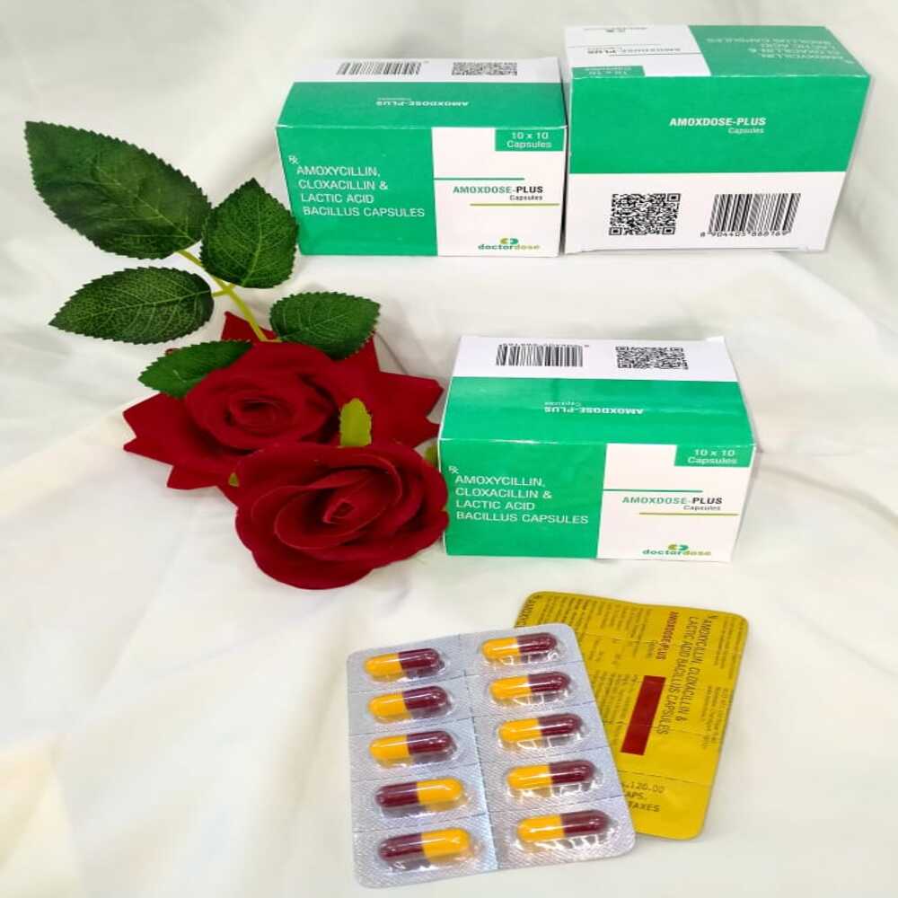 AMOXDOSE PLUS